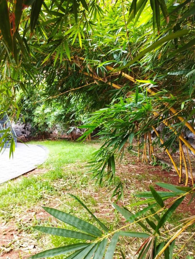 Rockdale Resort Nilambūr المظهر الخارجي الصورة